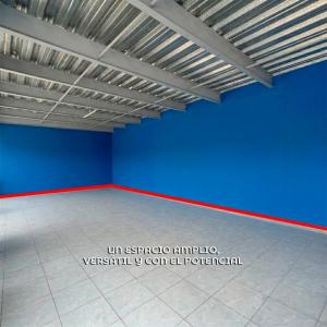 Local Comercial en El Salto