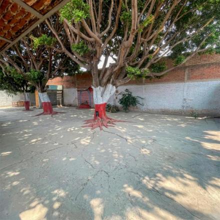 Local Comercial en El Salto