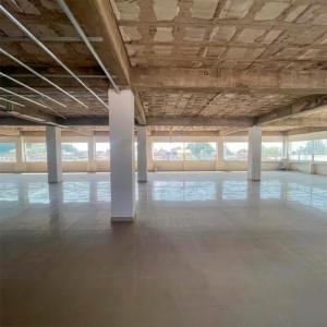 OFICINAS EN RENTA – LOPEZ MATEOS (CERCA DE BUGAMBILIAS)