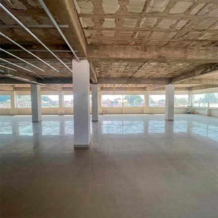 OFICINAS EN RENTA – LOPEZ MATEOS (CERCA DE BUGAMBILIAS)