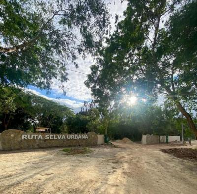 TERRENOS COMERCIALES EN VENTA - PUERTO MORELOS