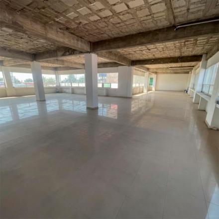 OFICINAS EN RENTA – LOPEZ MATEOS (CERCA DE BUGAMBILIAS)